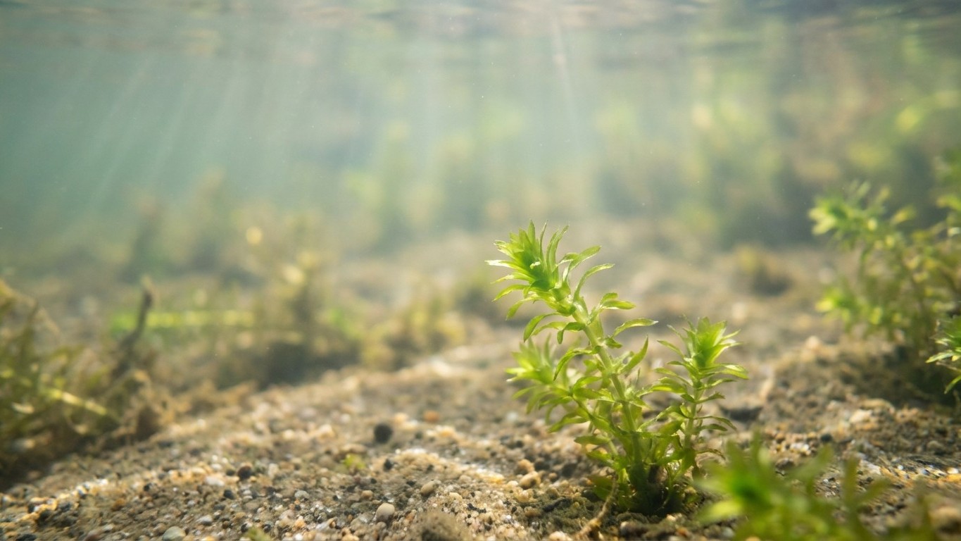« Je pêchais le brochet trop tôt au printemps » : un guide m'a montré le signal dans l'eau qui change tout