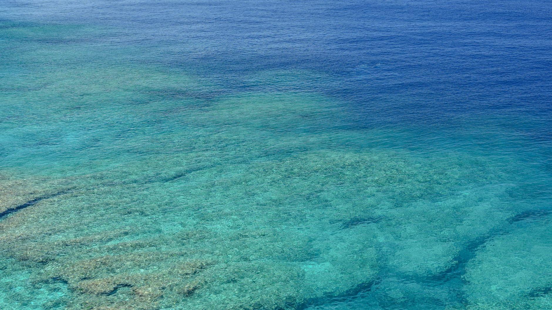 Je pensais le Japon glacial en hiver avant de découvrir cette île