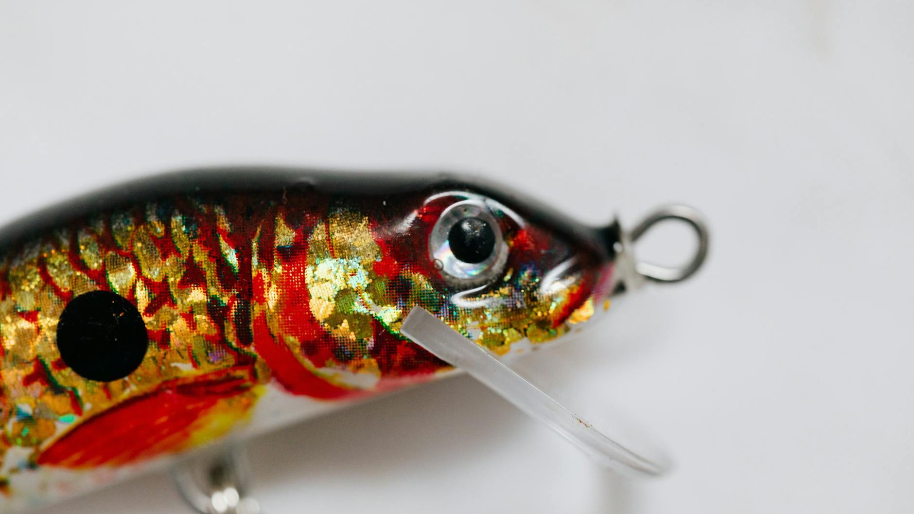 « Je perdais un leurre sur deux » : ce type d'hameçon a tout changé dans les herbiers