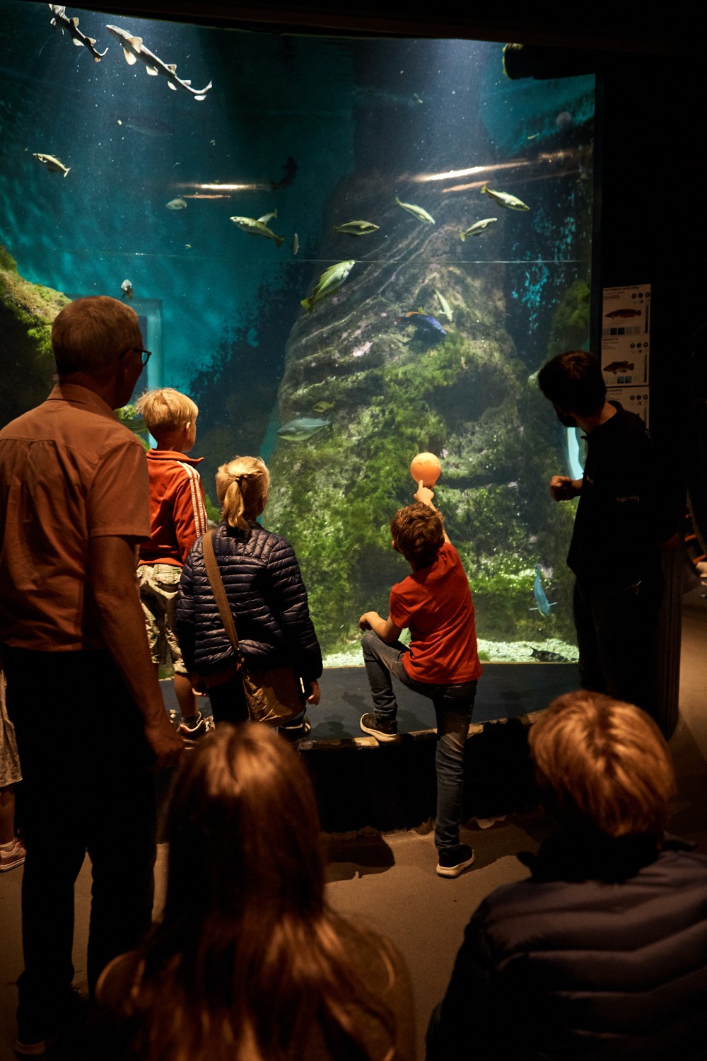 West Sweden Tourist Board - Image officielle