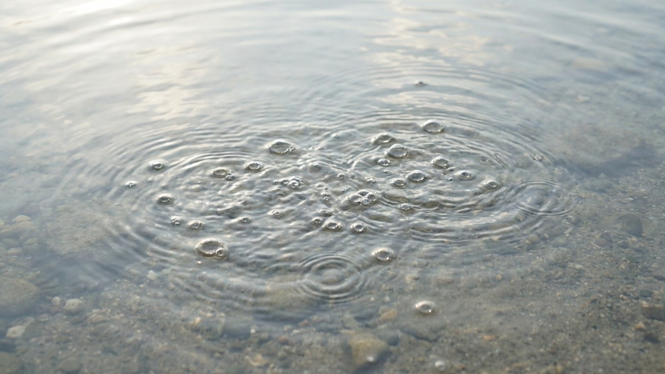 Ces petites bulles à la surface de l'eau ne sont pas du gaz : les pêcheurs au coup savent ce qu'elles révèlent