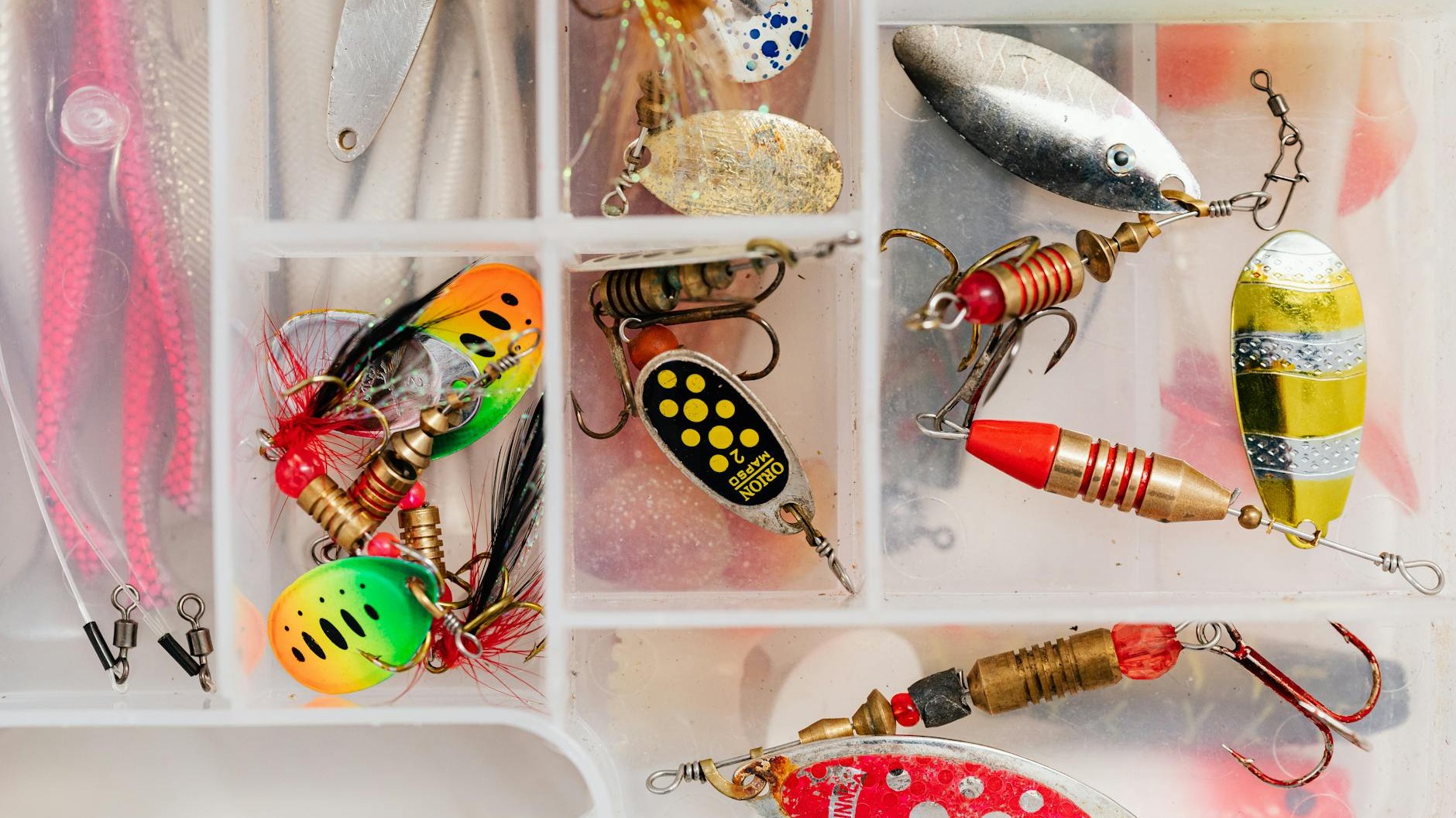 Regardez ce qui dort dans votre vieille boîte de pêche : les collectionneurs s'arrachent ces leurres que vous avez oubliés