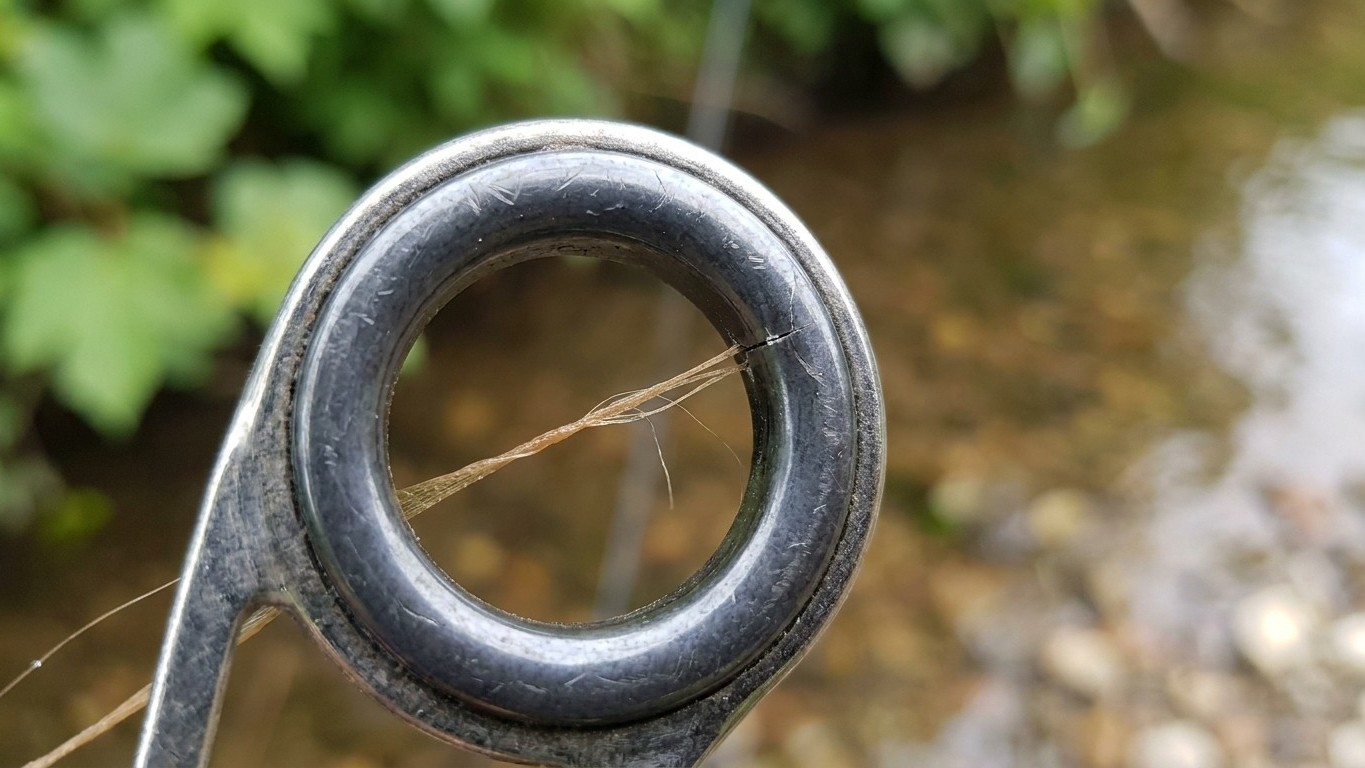 J'ai passé un simple collant dans les anneaux de ma canne juste pour vérifier : ce qui a accroché aussitôt expliquait tous...