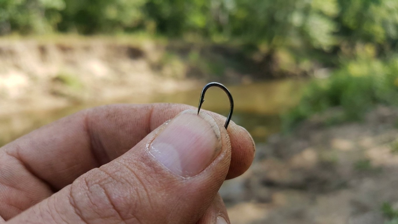 Je n'avais jamais affûté mes hameçons après des dizaines de sorties : le jour où j'ai ferré un sandre, la pointe a ripé ne...