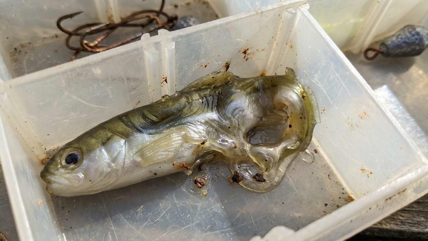 J’ai rangé mes leurres souples dans leur boîte après une journée de pêche sous les moustiques : quand j’ai rouvert le comp...