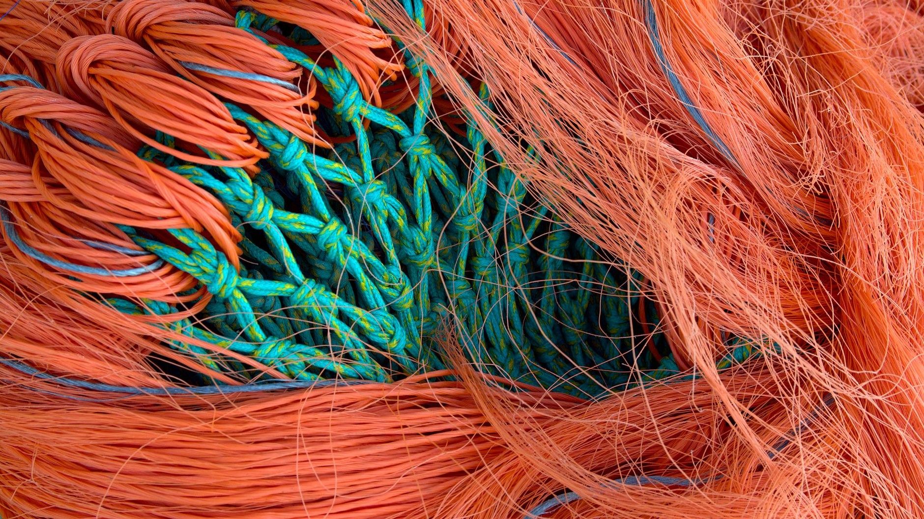 Je laissais mes bobines de nylon sur la plage arrière tout l'été : au premier gros poisson, j'ai compris ce que la chaleur...