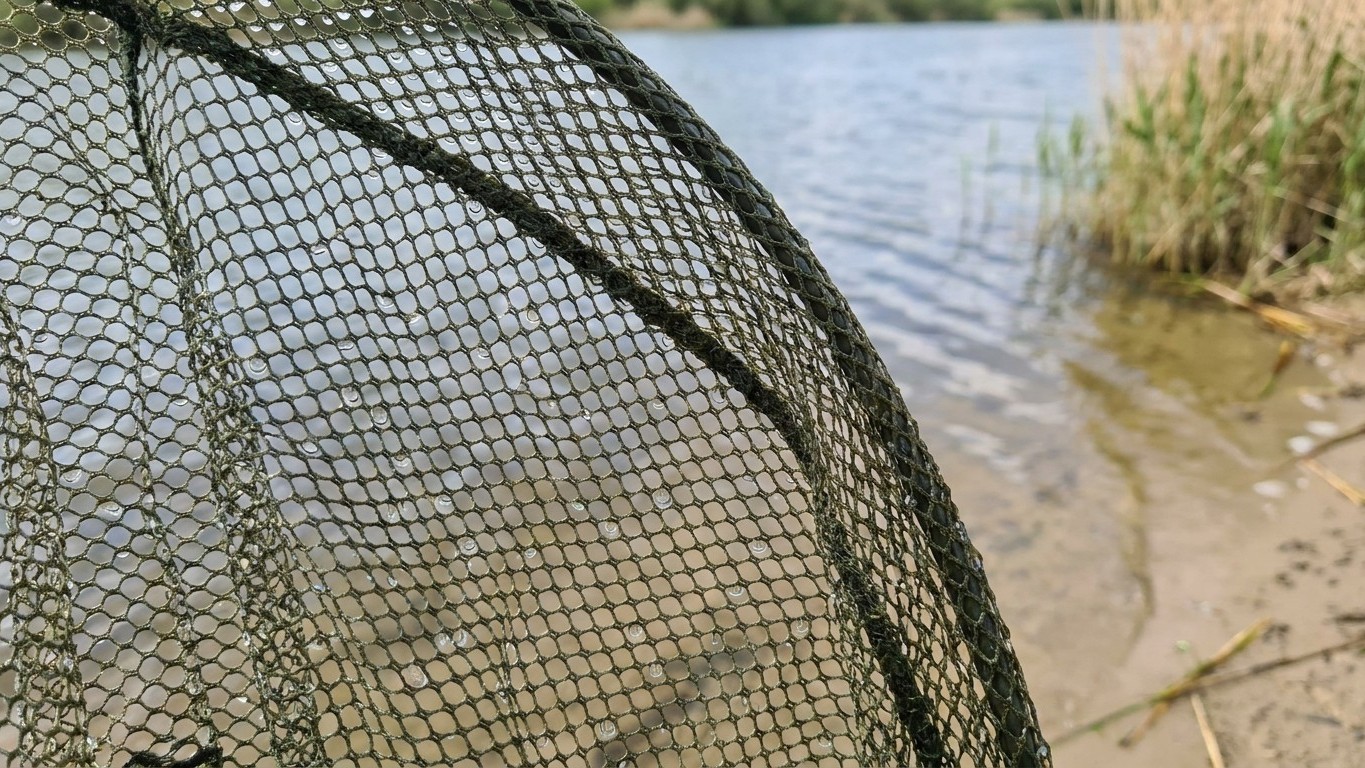 Je rangeais mon épuisette encore humide et pliée dans le coffre : un pisciculteur m'a montré ce que je déposais sur la pea...